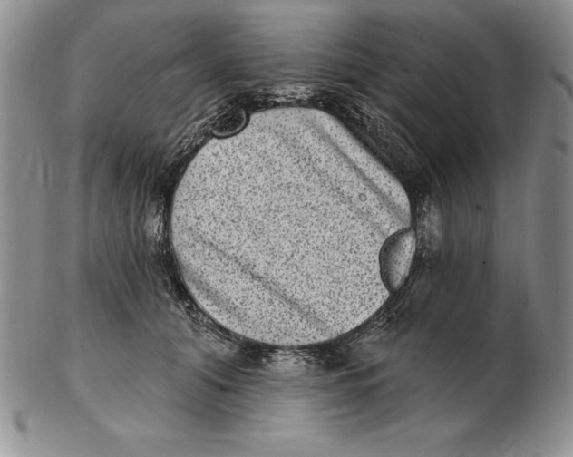 X0000102360608200808221717