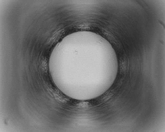 X0000102360609200808221717