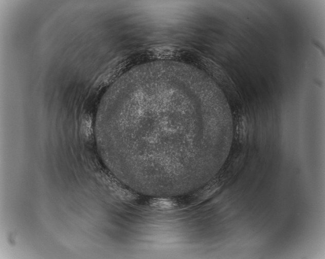 X0000102360610200808221717