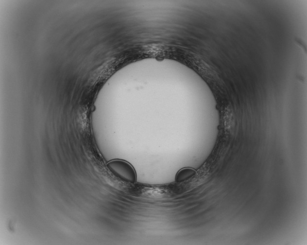 X0000102360611200808221717