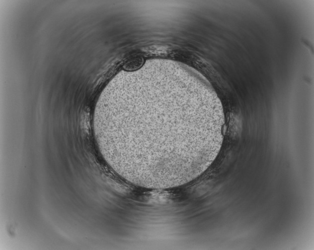 X0000102360612200808221717