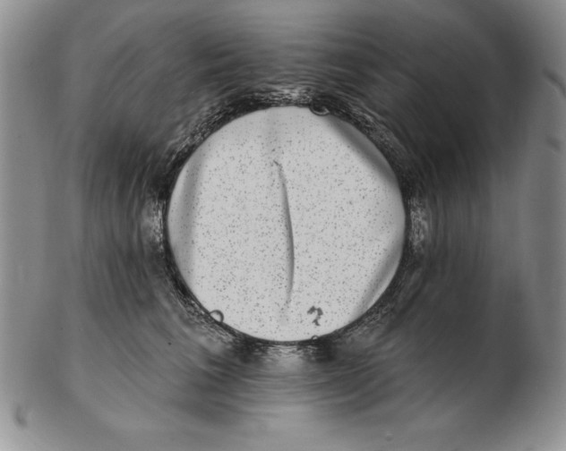 X0000102360613200808221717