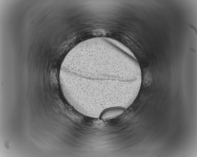 X0000102360616200808221717