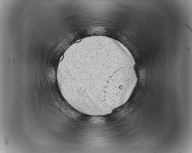 X0000102360617200808221717