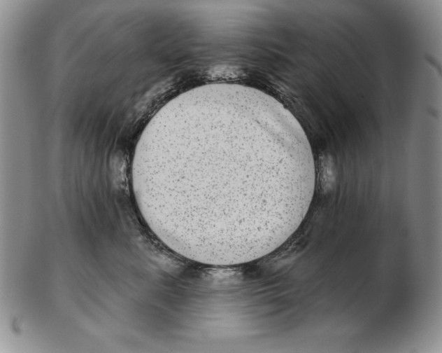 X0000102360619200808221717