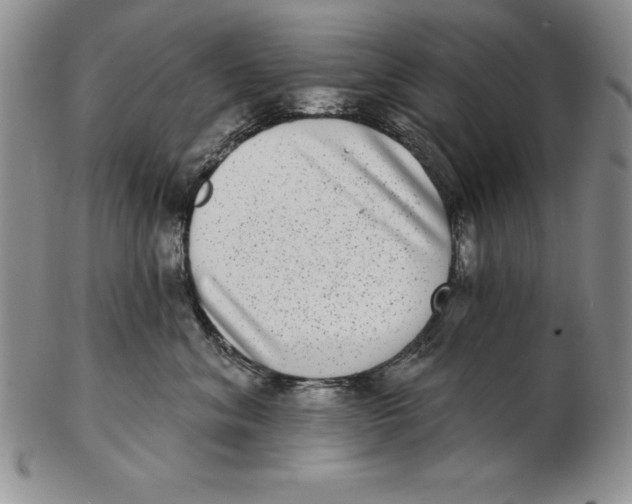 X0000102360620200808221717