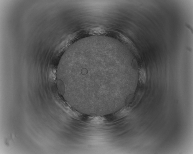 X0000102360621200808221717