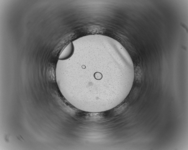 X0000102360622200808221717