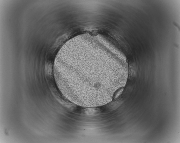 X0000102360623200808221717