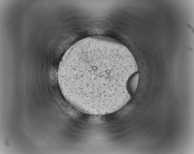 X0000102360624200808221717