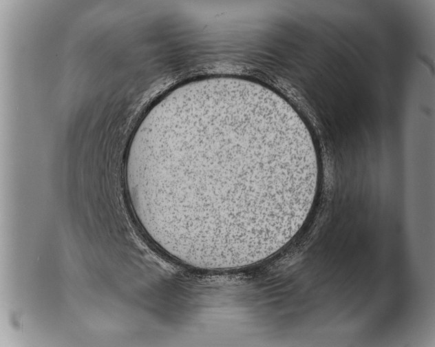 X0000102360625200808221716