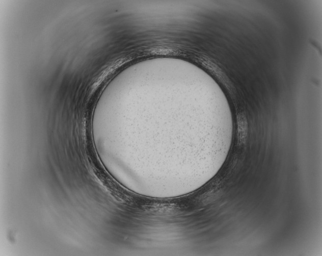 X0000102360626200808221716