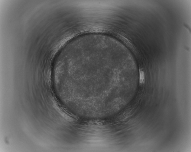 X0000102360627200808221716