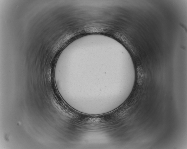 X0000102360631200808221716