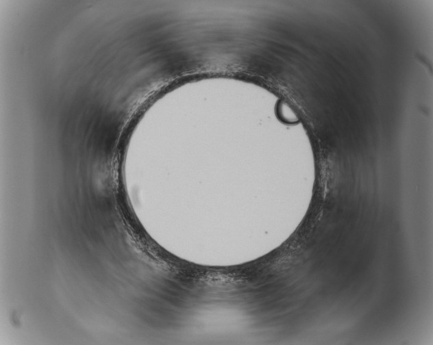 X0000102360632200808221716