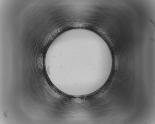 X0000102360633200808221716