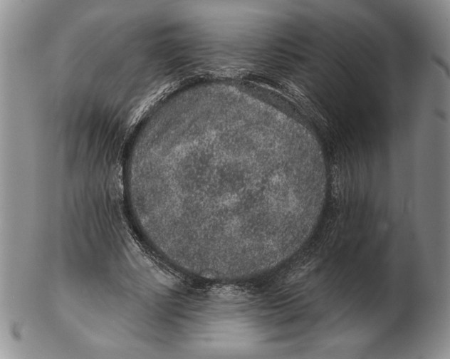 X0000102360634200808221716