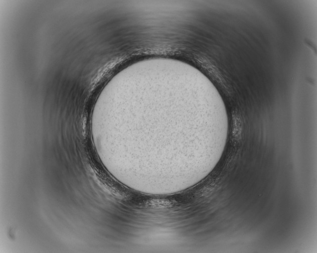 X0000102360636200808221716