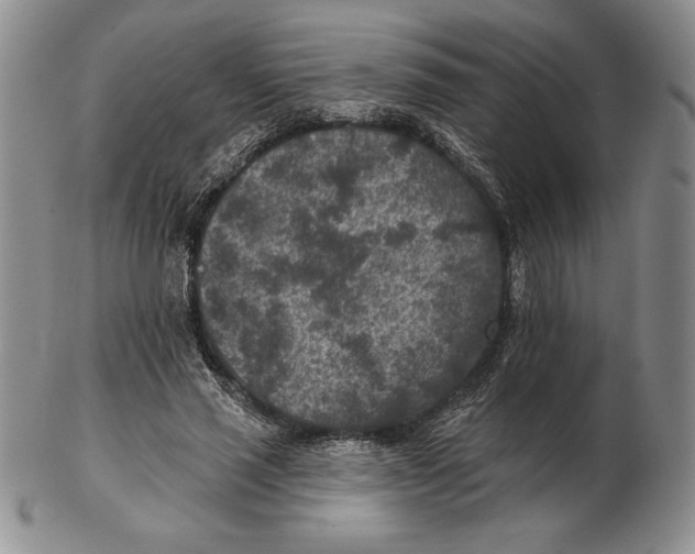 X0000102360637200808221716