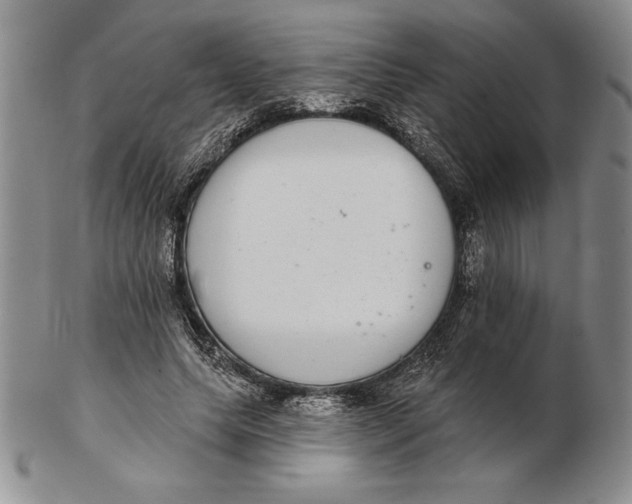 X0000102360639200808221716