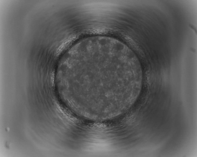 X0000102360640200808221717