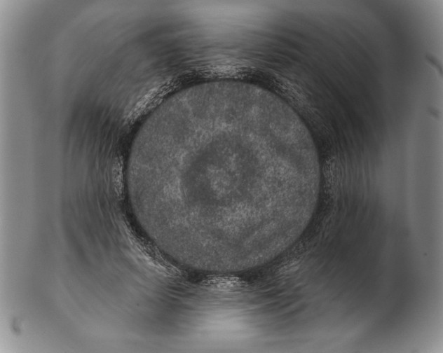 X0000102360642200808221717