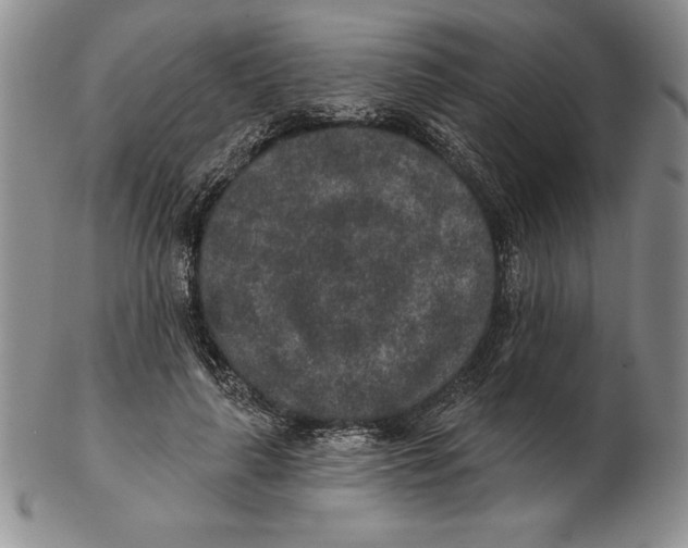 X0000102360643200808221717