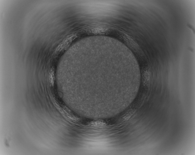 X0000102360644200808221717