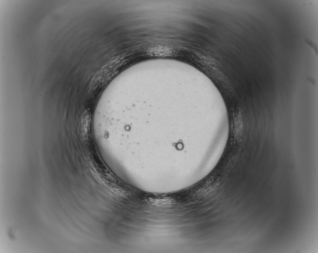 X0000102360645200808221717