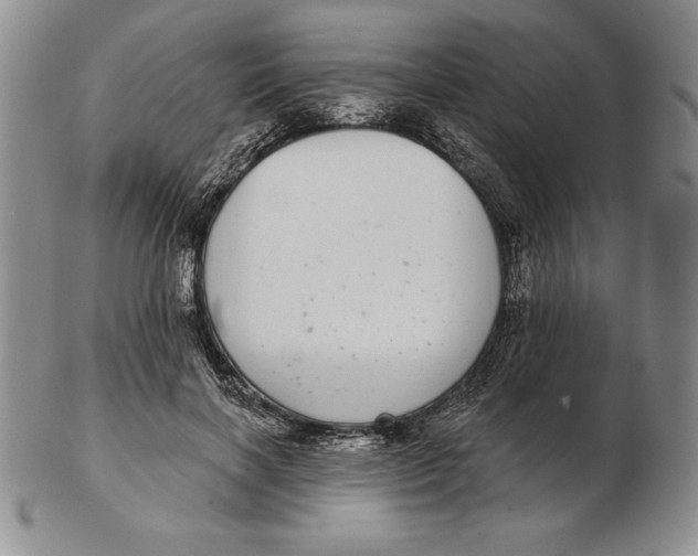 X0000102360646200808221717