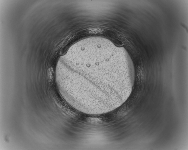 X0000102360649200808221717