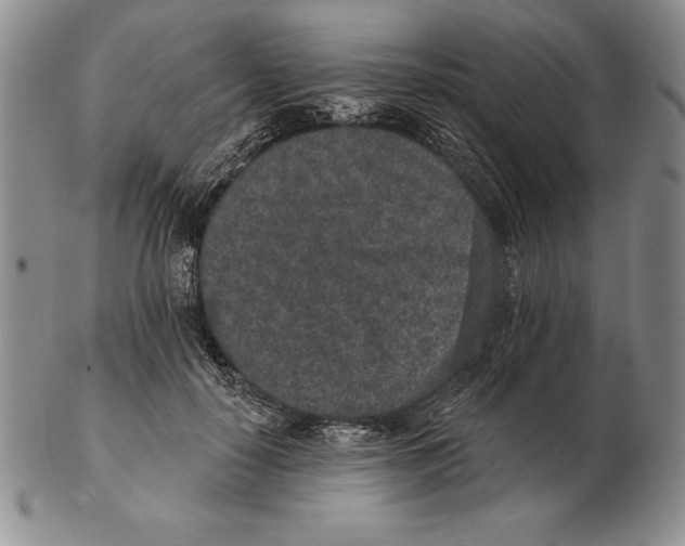 X0000102360650200808221717