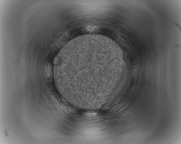 X0000102360651200808221717