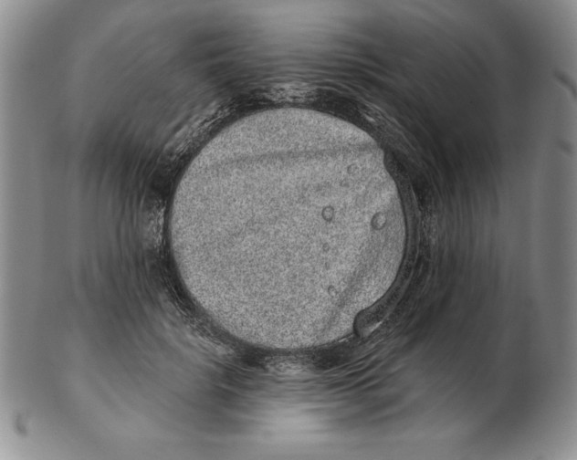 X0000102360652200808221717