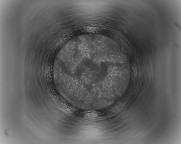 X0000102360653200808221717