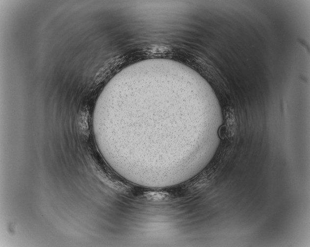 X0000102360654200808221717