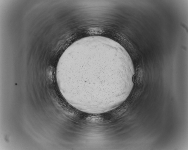 X0000102360655200808221717