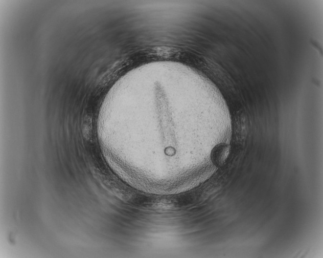 X0000102360656200808221717