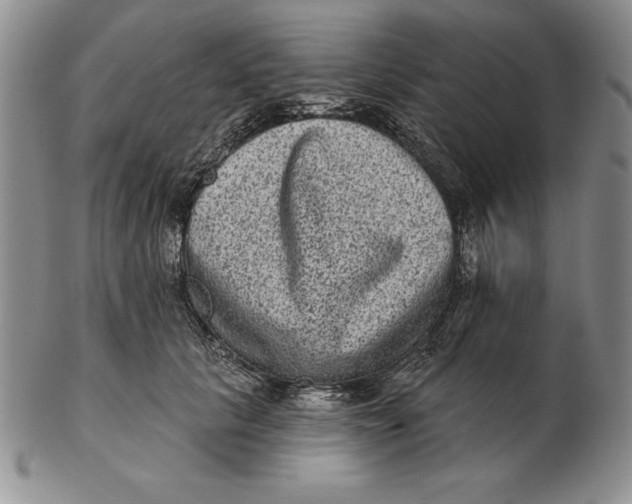 X0000102360657200808221717