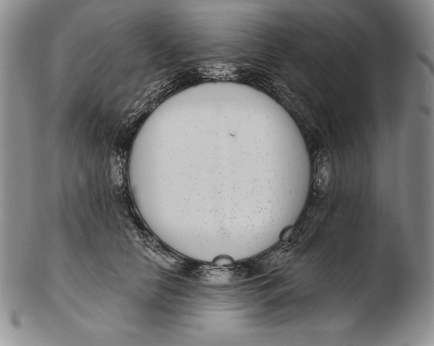 X0000102360658200808221717