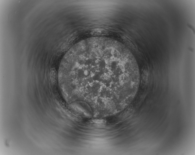 X0000102360659200808221717