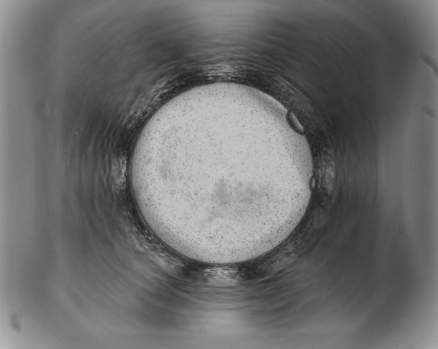 X0000102360660200808221717