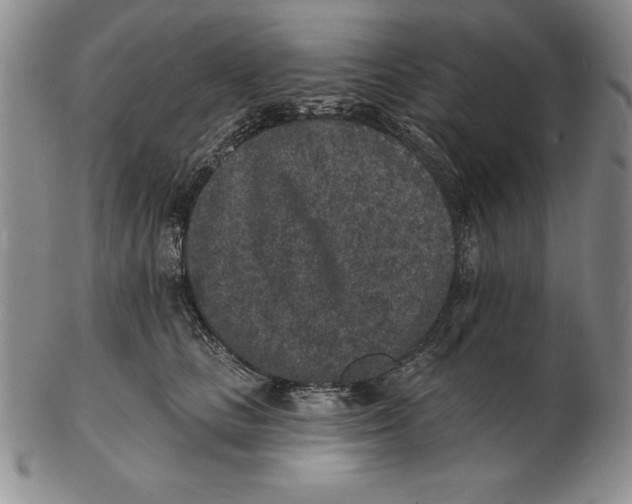 X0000102360661200808221717