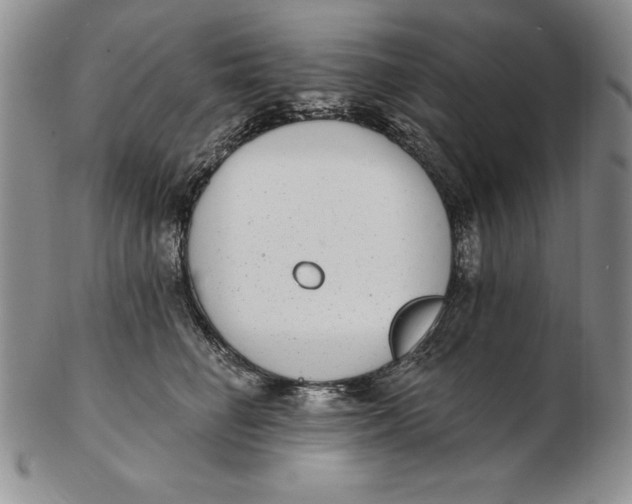 X0000102360662200808221717