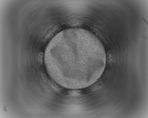 X0000102360664200808221717