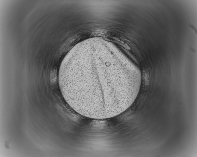 X0000102360665200808221717