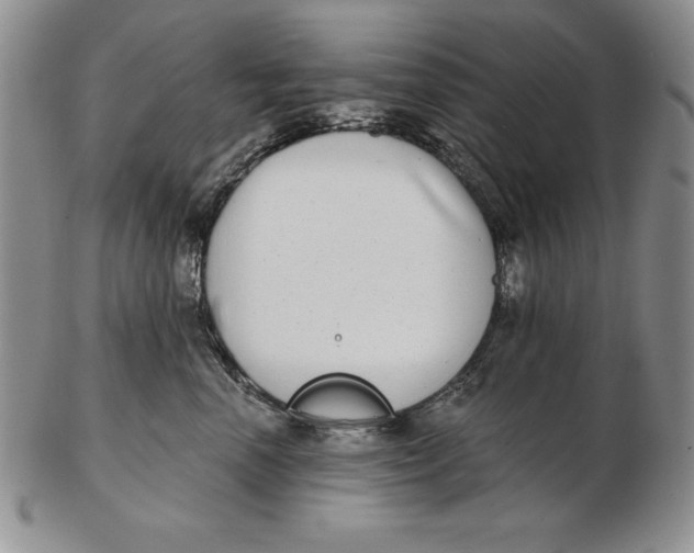 X0000102360666200808221717