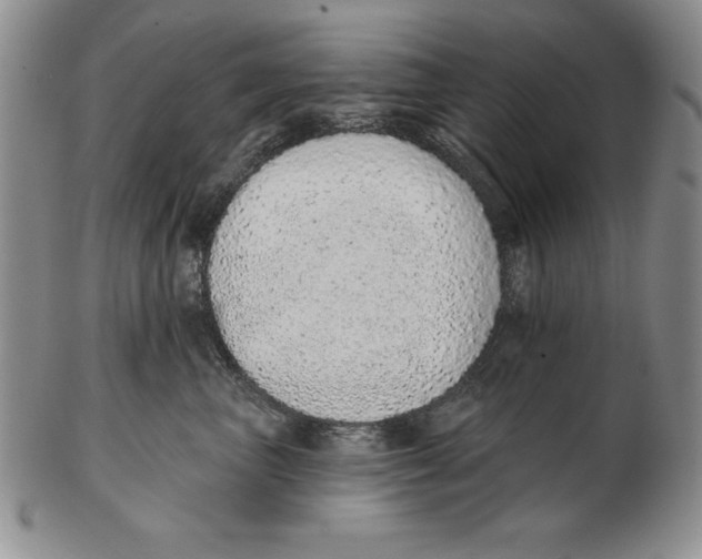 X0000102360667200808221717