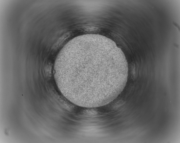 X0000102360668200808221717