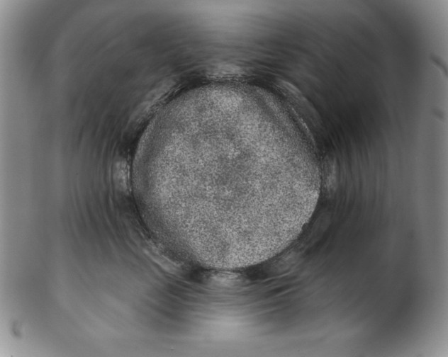 X0000102360669200808221717